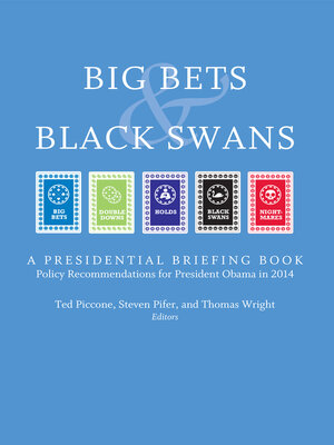 cover image of Big Bets and Black Swans 2014
